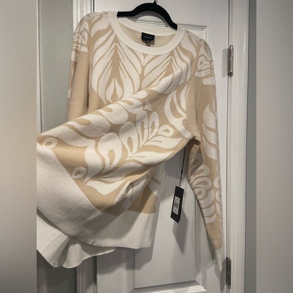 NWT Cyrus Size 2X Ivory Beige Long Sleeve Soft Plush Knit Pullover Sweater - Picture 5 of 13